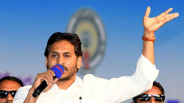 సీఎఫ్ఎంఎస్ స్ధానంలో హెర్బ్ ? సీఎఫ్ఎంఎస్ స్ధానంలో హెర్బ్ ?