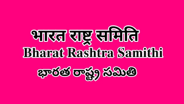 ఏపీలో బీఆర్ఎస్ రాజకీయం