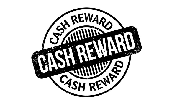 కిలాడీలు ఎక్కడ ఉన్నారు ?