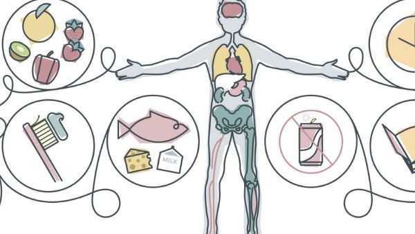 దానిమ్మ