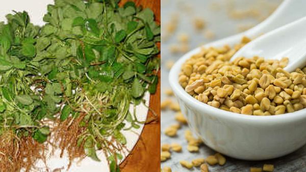 విటమిన్ కె