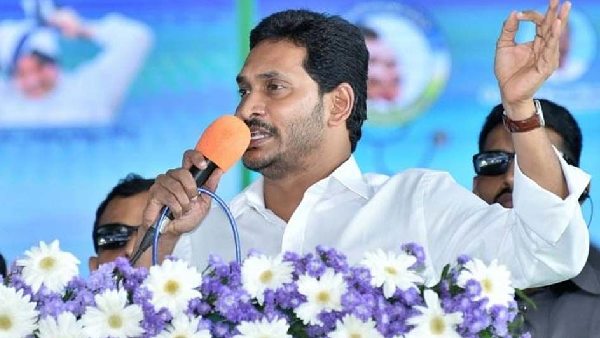 వై నాట్ 175 - ఆ ధీమా వెనుక