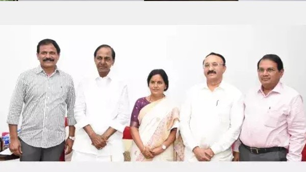 చేరికలపై తోట ఫోకస్