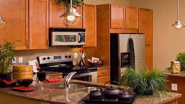 దక్షిణంలో వంటగది, బాత్ రూమ్.. చెప్పుల స్టాండులు పెడుతున్నారా? సమస్యలు ఇలా