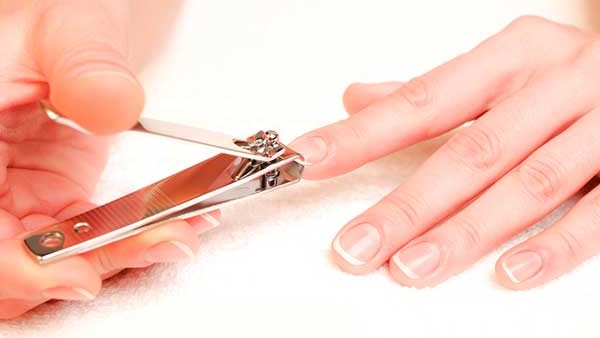 జ్యోతిష్య శాస్త్రం