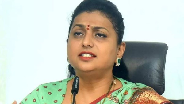  మెగా బ్రదర్స్ పై రోజా కామెంట్స్