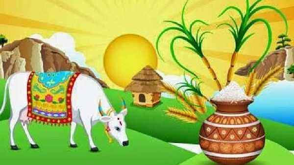 మకర సంక్రాంతి పండుగ ఎప్పుడు .. 14నా.. 15నా?