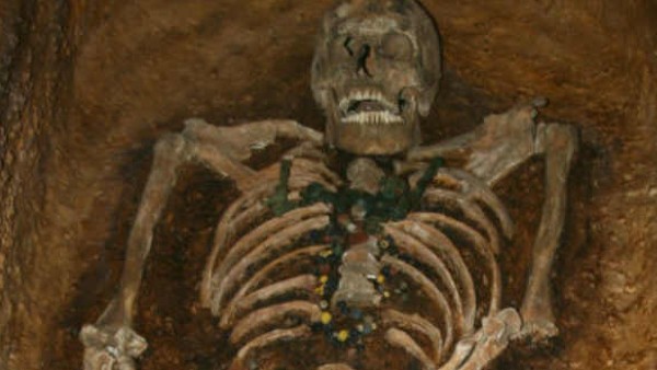 కలకలం రేపిన హస్తిపంజరం