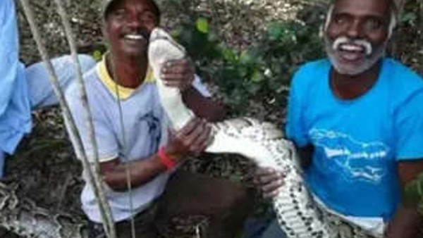 అమెరికా వరకు