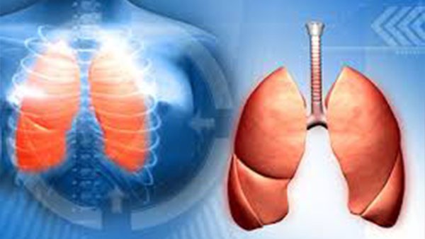 కనీసం 6 నెలలు కనీసం 6 నెలలు