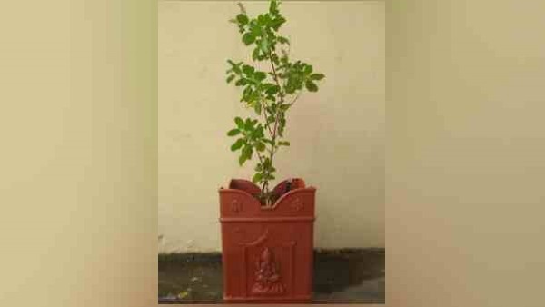 పాజిటివ్ ఎనర్జీ