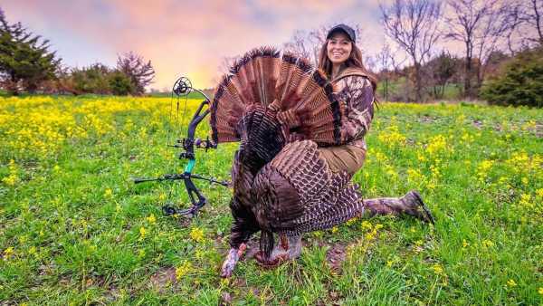 లైసెన్స్