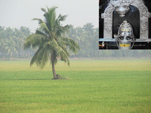 కనుమ నాడు చెయ్యాల్సింది ఇదే 