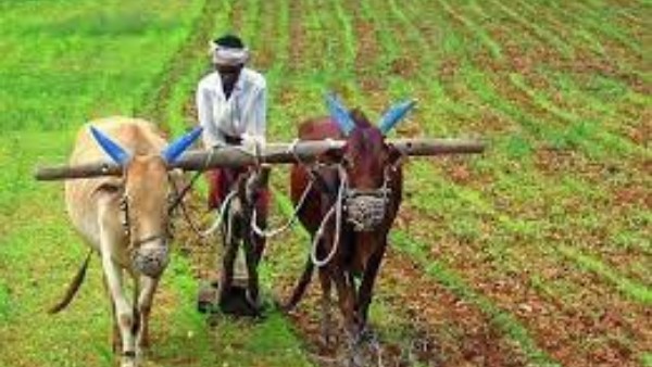 మహానుభావులు లేకపోతే ? మహానుభావులు లేకపోతే ?