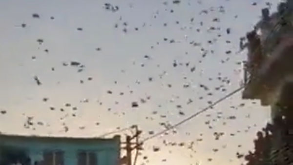 A video of Rs.500 currency notes being thrown into the air is going viral on social media