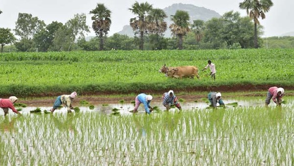 వ్యవసాయానికి పెద్ద పీట వేసిన బడ్జెట్