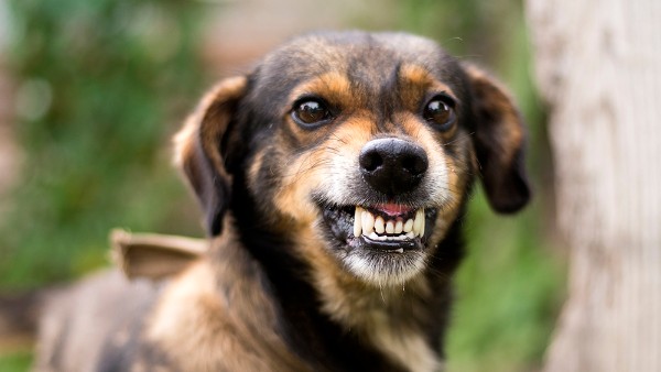  ప్రజలు సహకారం అవసరం.. నగర వాసులకు అధికారుల విజ్ఞప్తి..