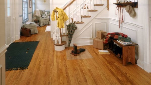 పొరపాటున కూడా ఇంట్లో వీటిని పెట్టుకోకండి