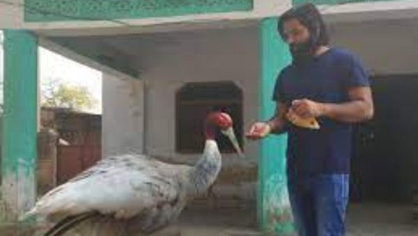 గాయపడిన పక్షిని కాపాడిన ఆరీఫ్