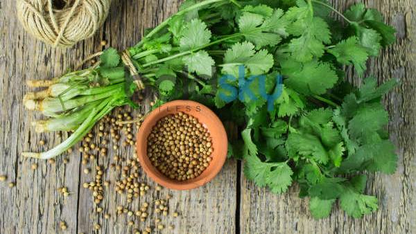 కొత్తిమీరతో అందం .. ఆరోగ్యం