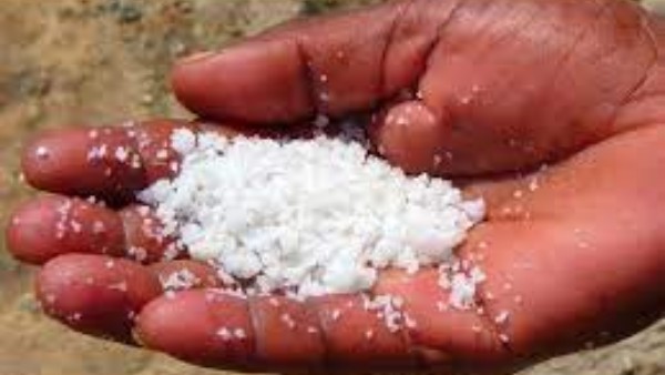 ఉప్పు బదులు ఇస్తున్నారా?