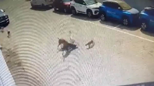 బాగ్ అంబర్ పేట