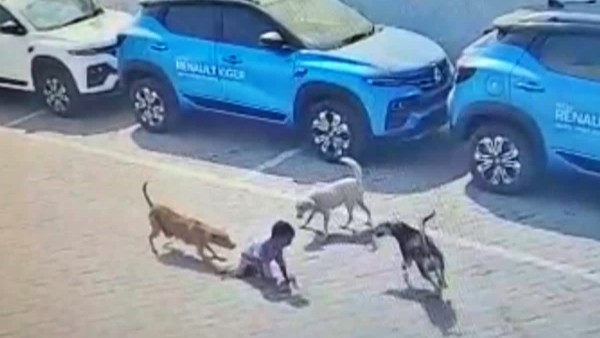 అన్నింటికీ జీహెచ్ఎంసీని నిందించడం సరికాదన్న మేయర్