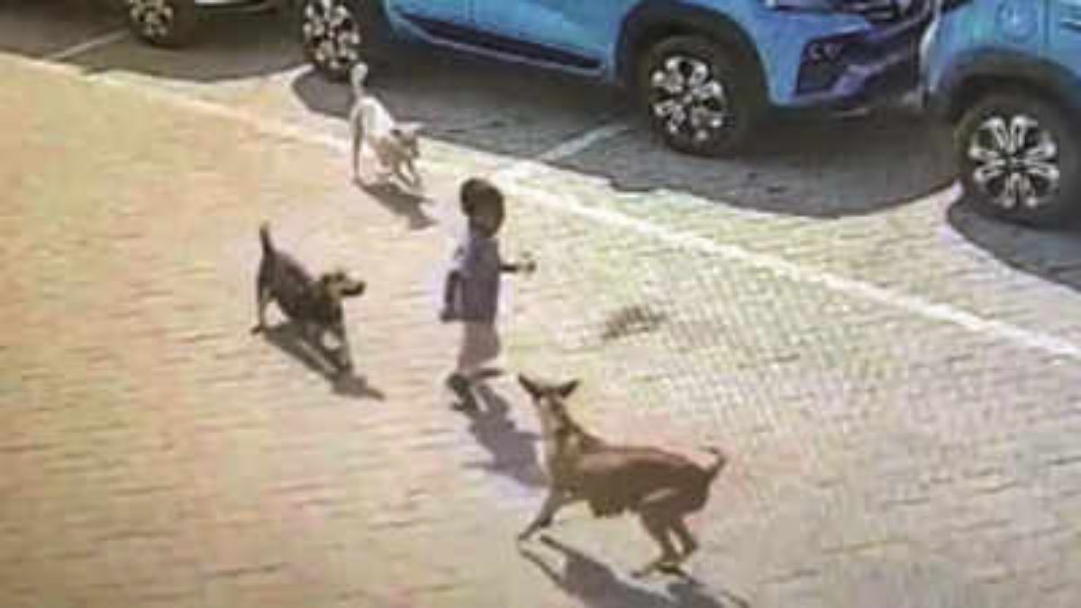 GHMC Rs 10 lakh compensation to victim family of the boy, who killed in amberpet dog attack GHMC Rs 10 lakh compensation to victim family of the boy, who killed in amberpet dog attack