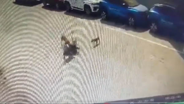 అక్క కోసం