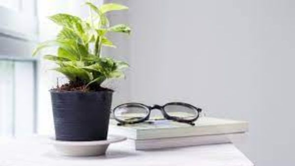 స్థలానికి మూలలు పెరిగితే ఏమవుతుంది?