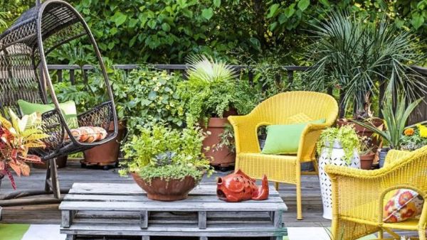 ఆగ్నేయం మూల పెరిగితే ఫలితాలు ఇలా