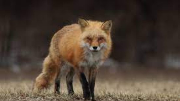 మంచి జరగాలని అనుకుంటారు మంచి జరగాలని అనుకుంటారు