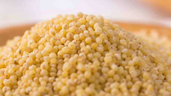 కొర్రలతో బోలెడు ఆరోగ్య ప్రయోజనాలు