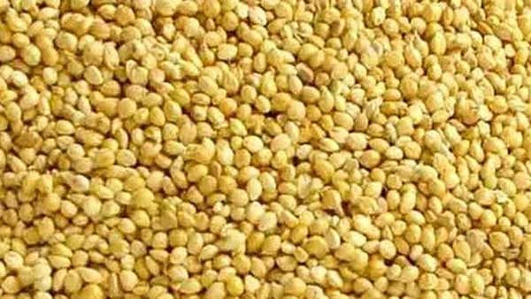 కొర్రలతో ఈ సమస్యలకూ చెక్