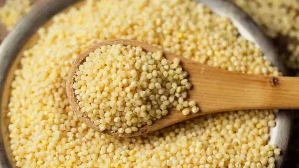  అతిగా కొర్రలు తింటే జరిగేదిదే ..