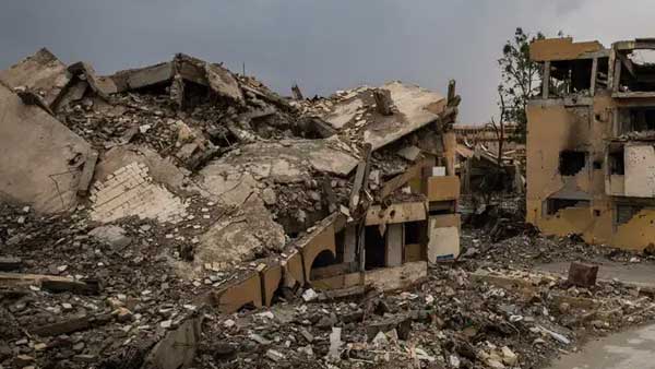 రక్త సంబంధానికి అద్దంగా నిలుస్తున్న ఫోటో రక్త సంబంధానికి అద్దంగా నిలుస్తున్న ఫోటో