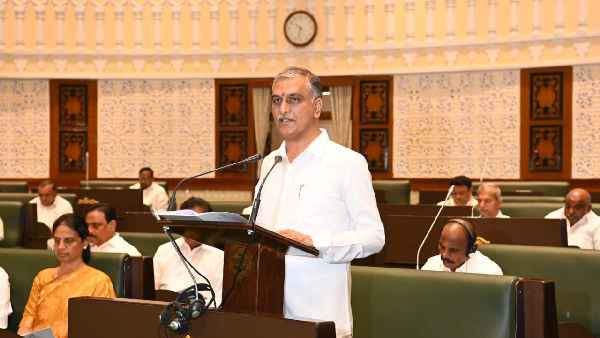 ఈహెచ్ఎస్ విధానం ఈహెచ్ఎస్ విధానం