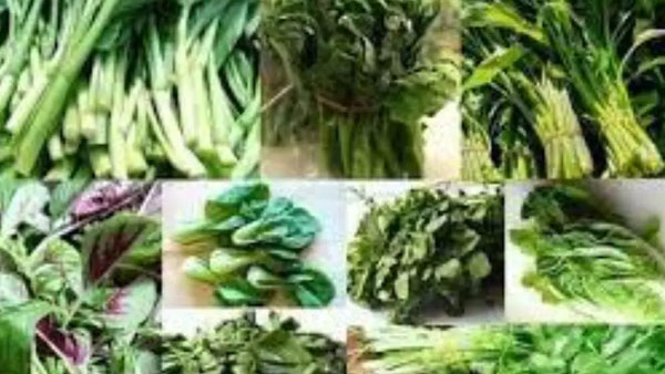 ఎత్తు పెరగటానికి ఈ కూరగాయలు, ఆకుకూరలు పెట్టండి