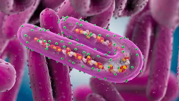 మరో వైరస్..