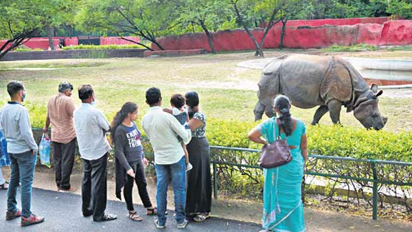 1,500 రకాలు