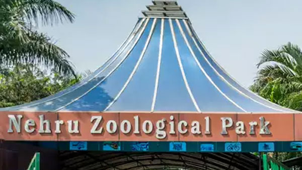 1963 నుంచి