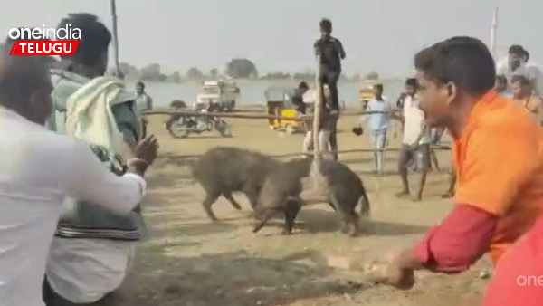 అన్ని జిల్లాల నుంచి