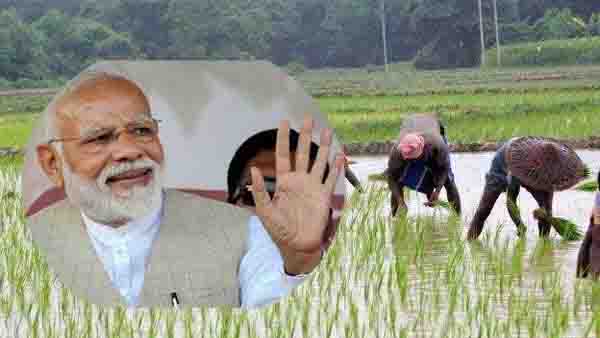 రైతు బంధు