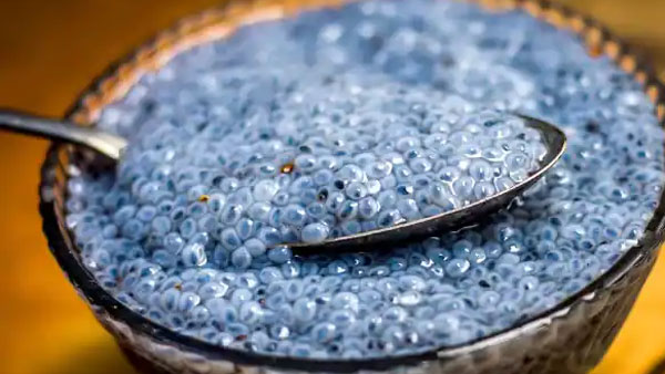 అందానికి సబ్జా... రోజూ తీసుకోండి