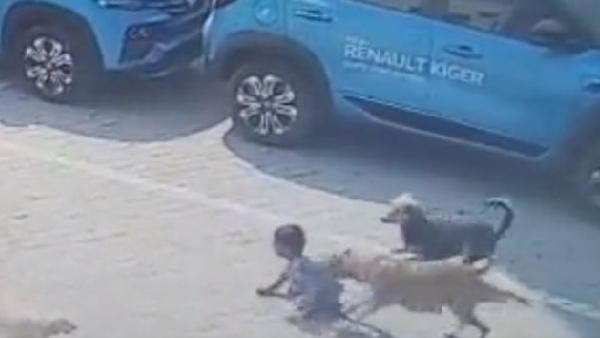 సీసీ కెమెరాలో దాడి దృశ్యాలు