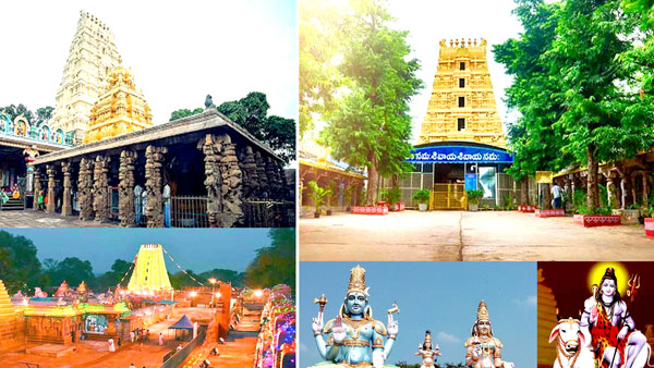 18 వ తేదీన ఘనంగా స్వామి అమ్మవార్ల కళ్యాణం 18 వ తేదీన ఘనంగా స్వామి అమ్మవార్ల కళ్యాణం