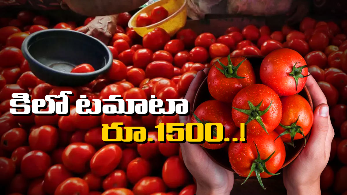 The price of a Kg of tomatoes in Britain has reached over Rs.1500 The price of a Kg of tomatoes in Britain has reached over Rs.1500