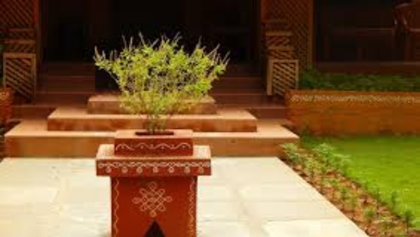  ఈ రోజుల్లో తులసి ఆకులను తెంచకూడదు