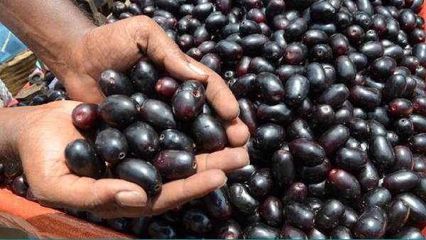 గుండె ఆరోగ్యంగా ఉండాలంటే..