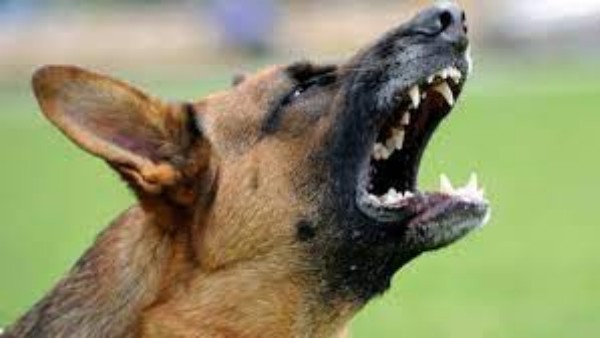  అనారోగ్యంతో ఆసుపత్రిలో తండ్రి